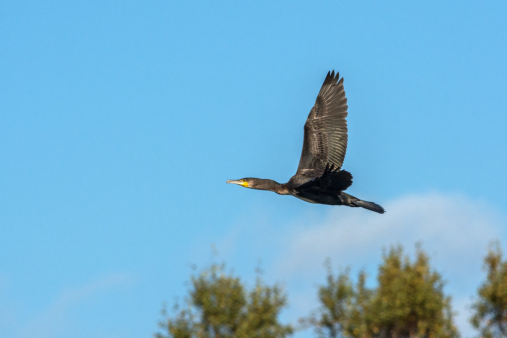 Lakes 008 Richard Farrow Flickr