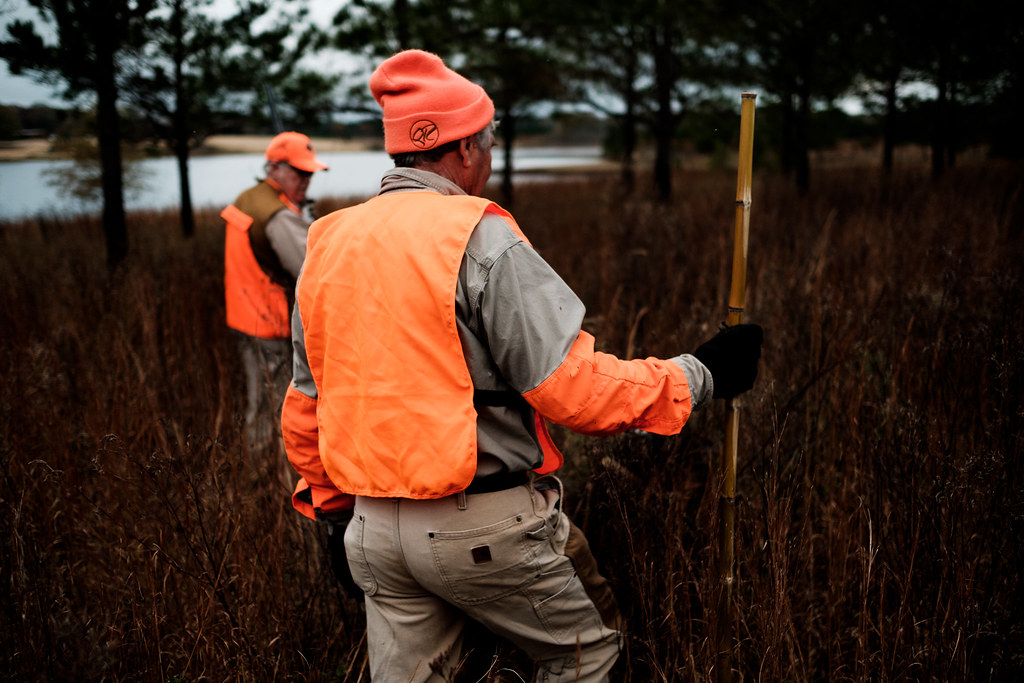 2016 Mississippi Quail Hunt First quail hunt of the year f… Flickr