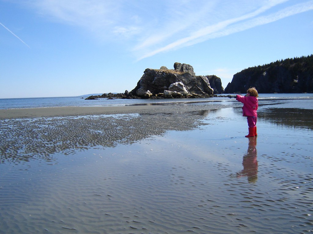 Katherine sees a jet We all headed to Salmon Cove Sands fo… Flickr
