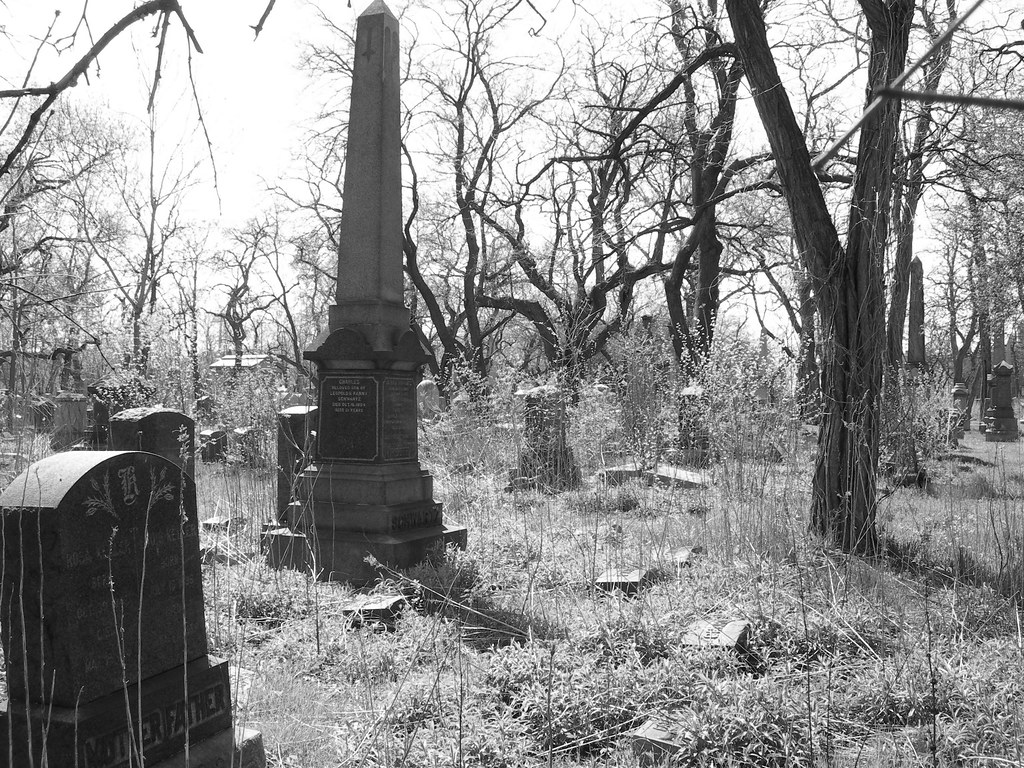 Abandoned Cemetery Hebrew Benevolent Cemetery a.k.a. Jewis… Flickr