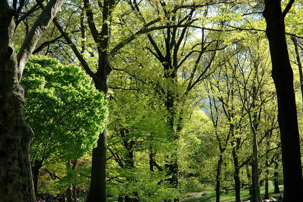 Real Greenery Derek Gordon Flickr