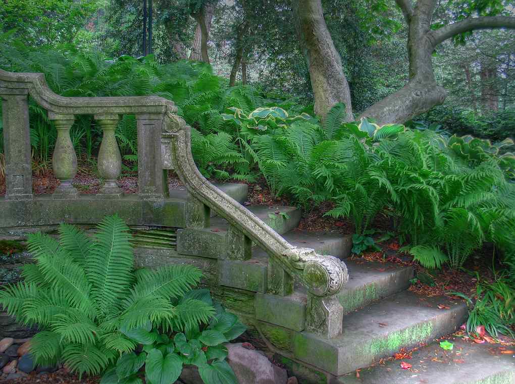 The Staircase These stairs lead to the rose garden at the … Flickr