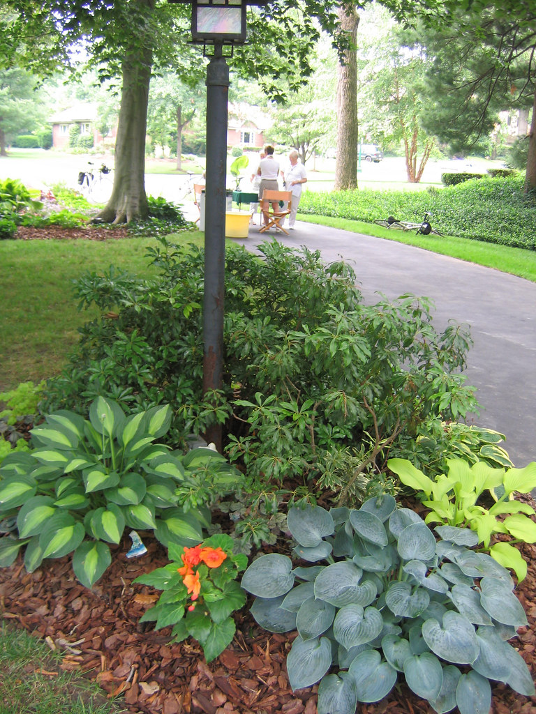 1506 Larry Avenue lamppost garden Kasmira Flickr