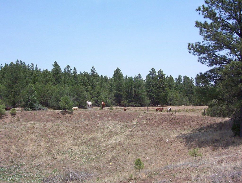 New Mexico land New Mexico land paul hitz Flickr