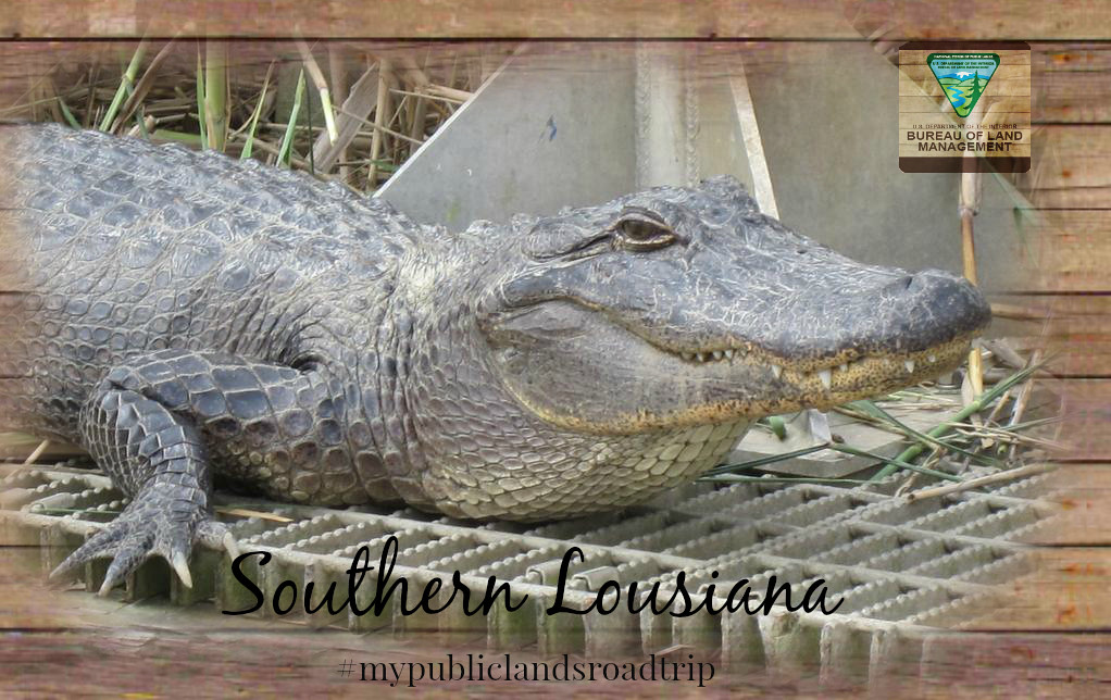 My Public Lands Roadtrip Louisiana Bayou BLM Eastern Stat… Flickr