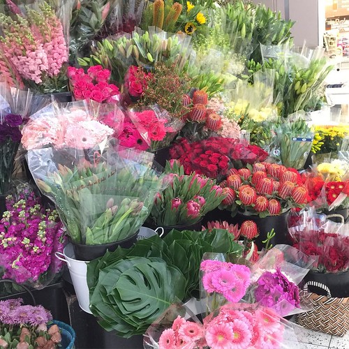 ⬅️order now Share,Like or Com… Flickr