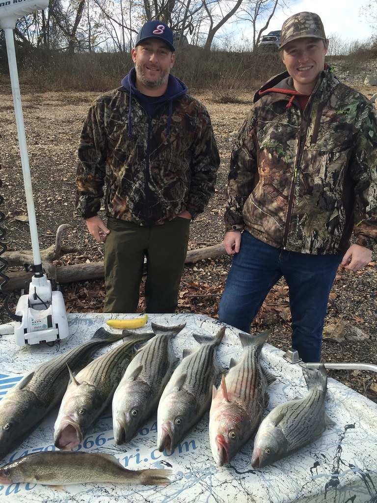 Beaver Lake Striper Fishing Guide Rogers Arkansas. Beaver,… Flickr