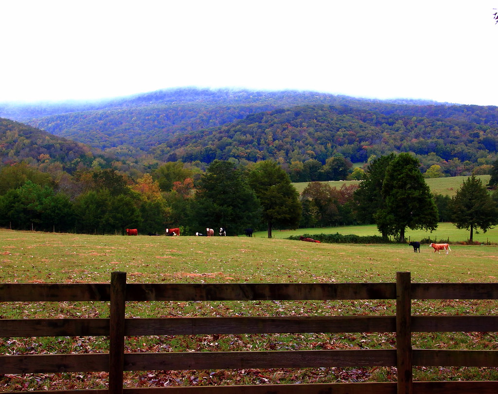 Fog Atop Mountains across the Boxley Valley Northwest Ar… Flickr