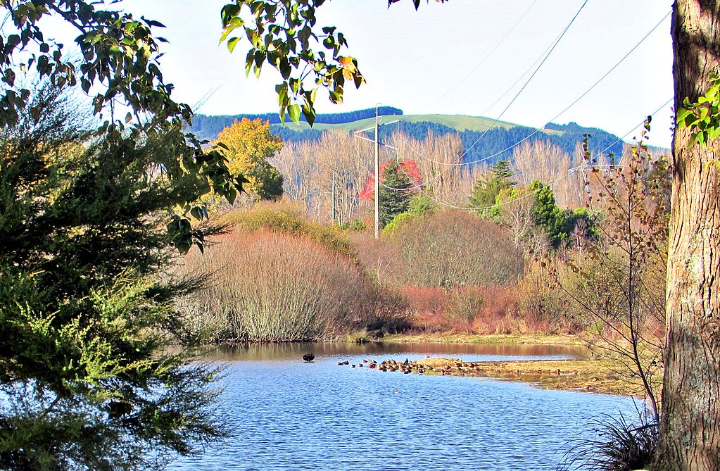 Lake Whakamaru (1) From the parking area on HW 30. Eunice Perkins