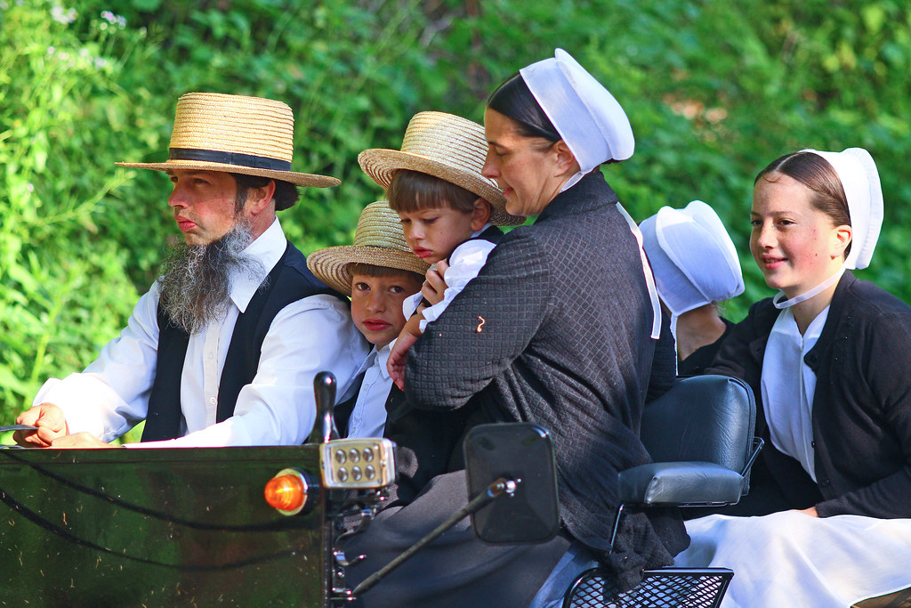 IMG_3156 Big Amish family in a cart. Here the mother is mo… Flickr