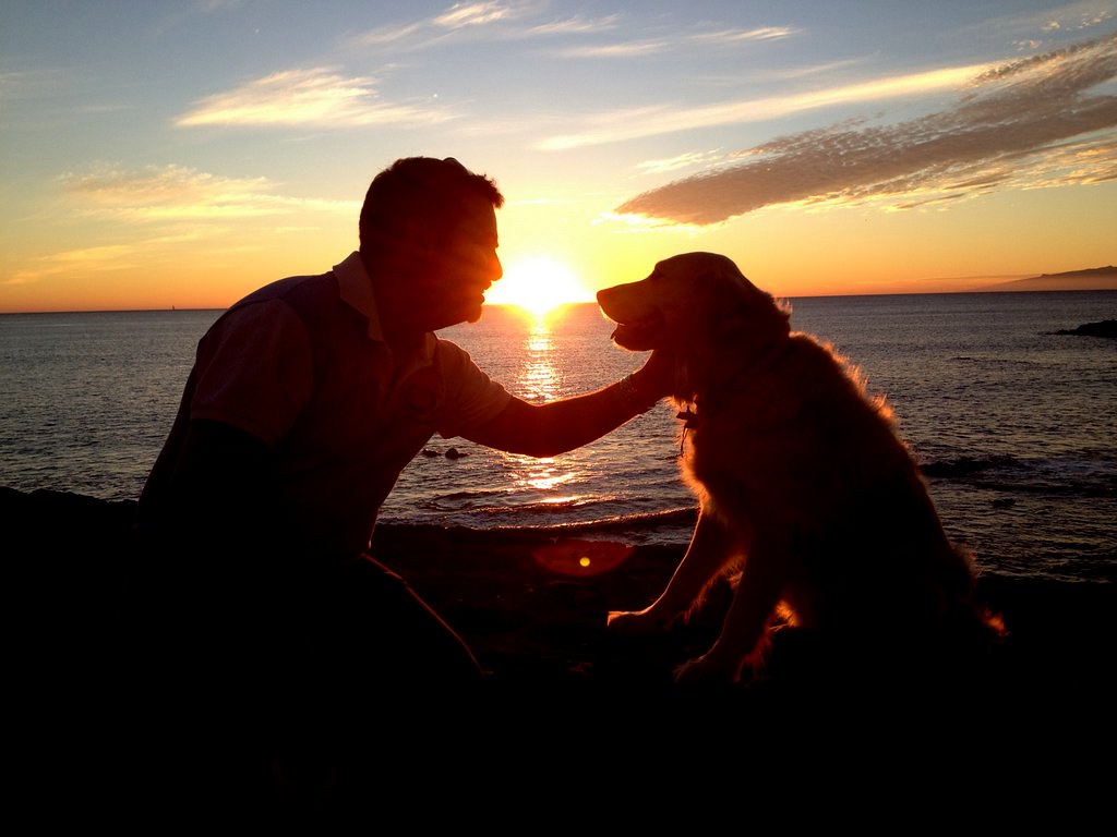 centro veterinario el madroñal tenerife Centro Veterinario El