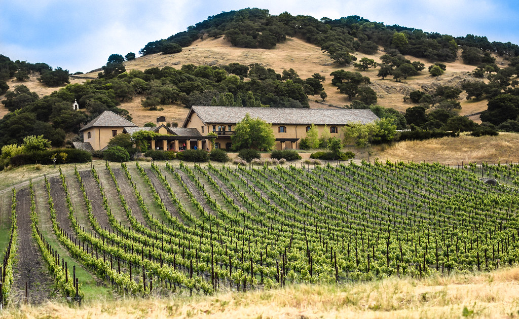 Napa Vineyard A vineyard in Napa Valley, CA. Dedicated to … Flickr