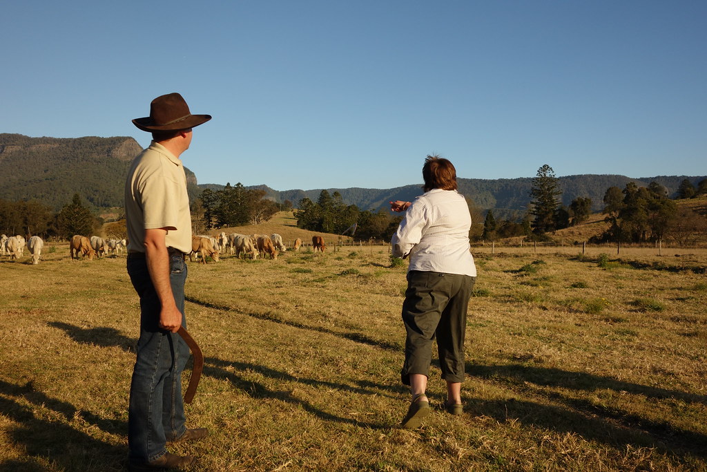 DSC03510 Andrew Thorpe Flickr