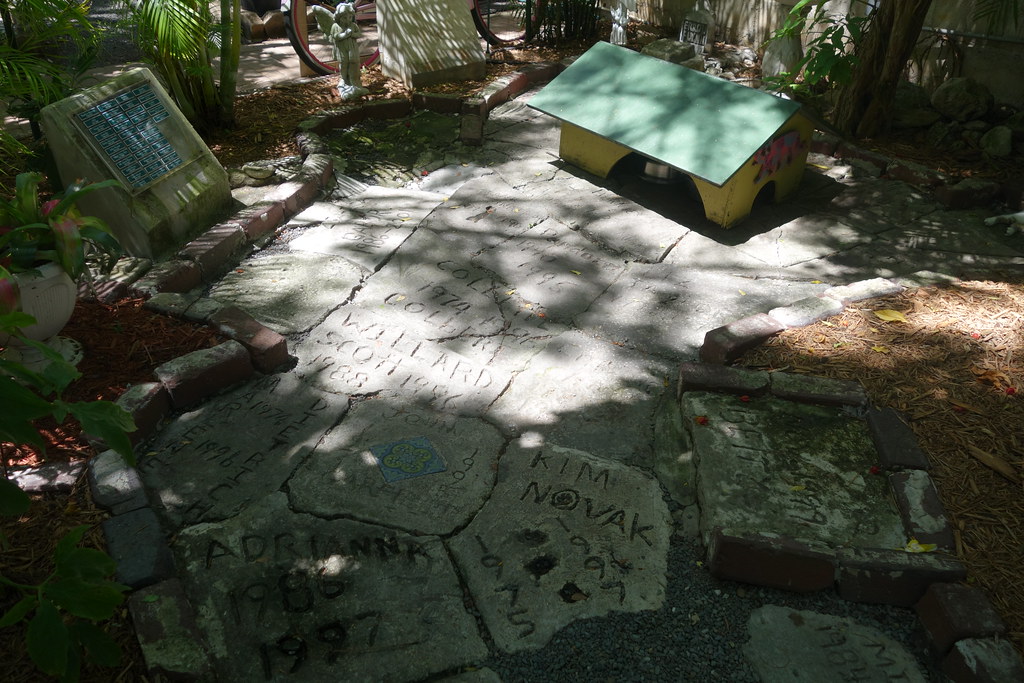 Cat cemetery Ernest Hemingway House, Key West, Florida, US… koukat