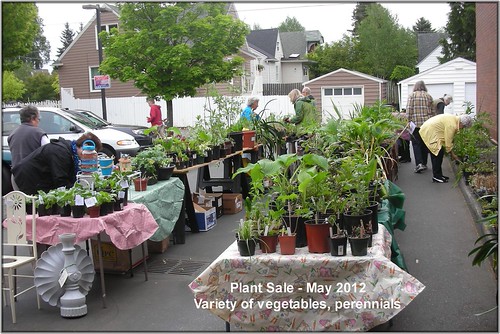 North End Flower Club, Washington May 2012 Plant Sale of T… Flickr