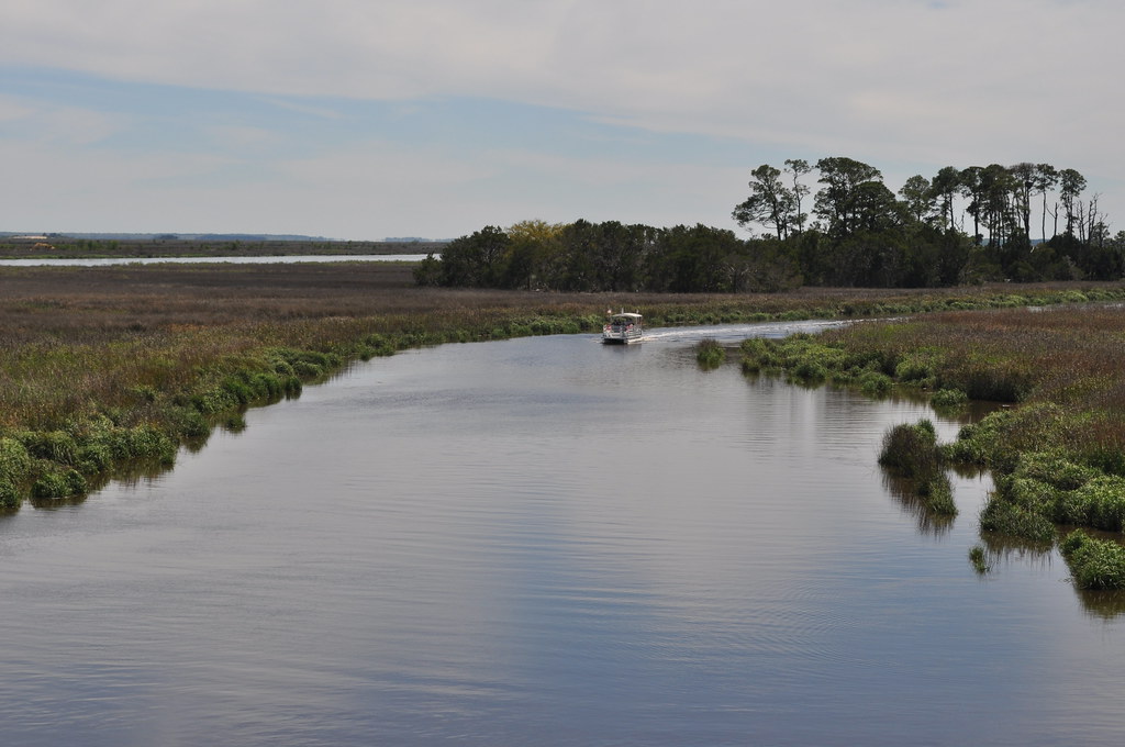 0737 Altamaha River Img_7467 7467 North Branch of the Alta… Flickr