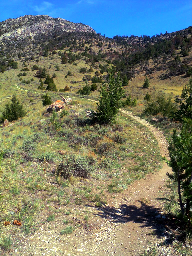 DanMor Gypsum mine trail Lewis & Clark Caverns State Park Flickr