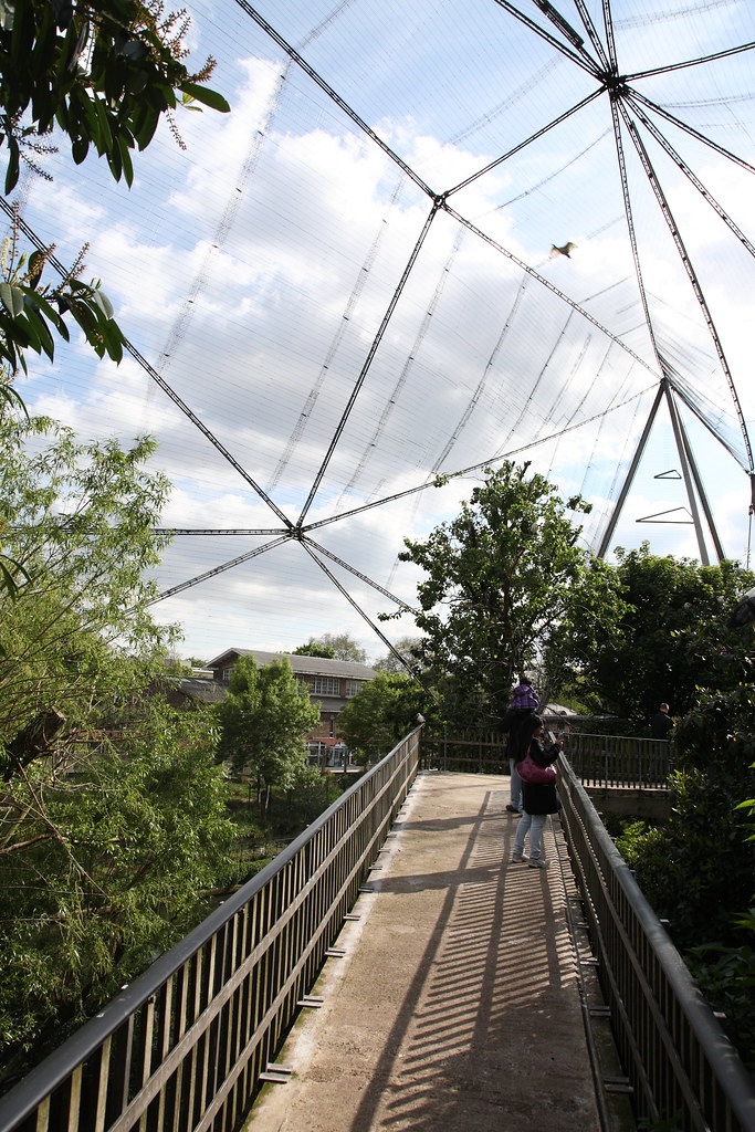 Aviary, London Zoo Aviary (19615) by Lord Snowdon with Ce… Flickr