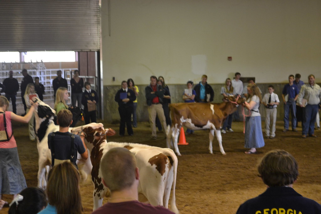2012 4H State Livestock Judging Contest 022 4H Flickr