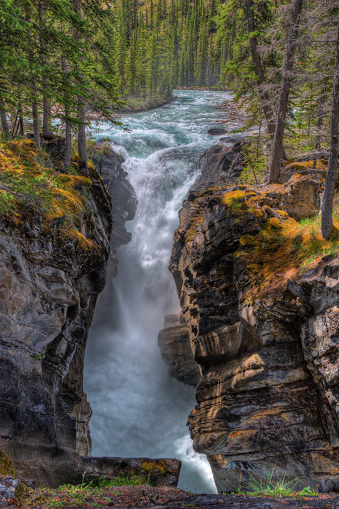 Siffleur Falls Siffleur Falls is a very pleasant 4 km stro… Flickr