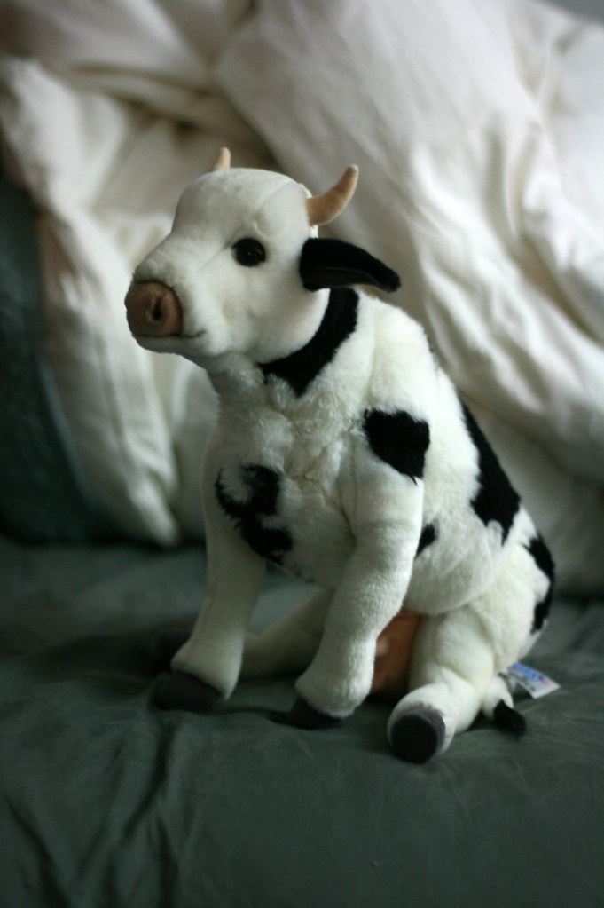 The most important cow Cows are Jehu's favorite animal. In… Flickr