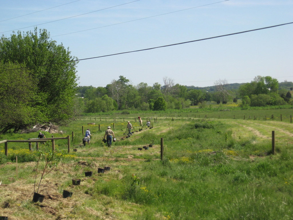 IMG_5580 Chesapeake Bay Foundation Flickr