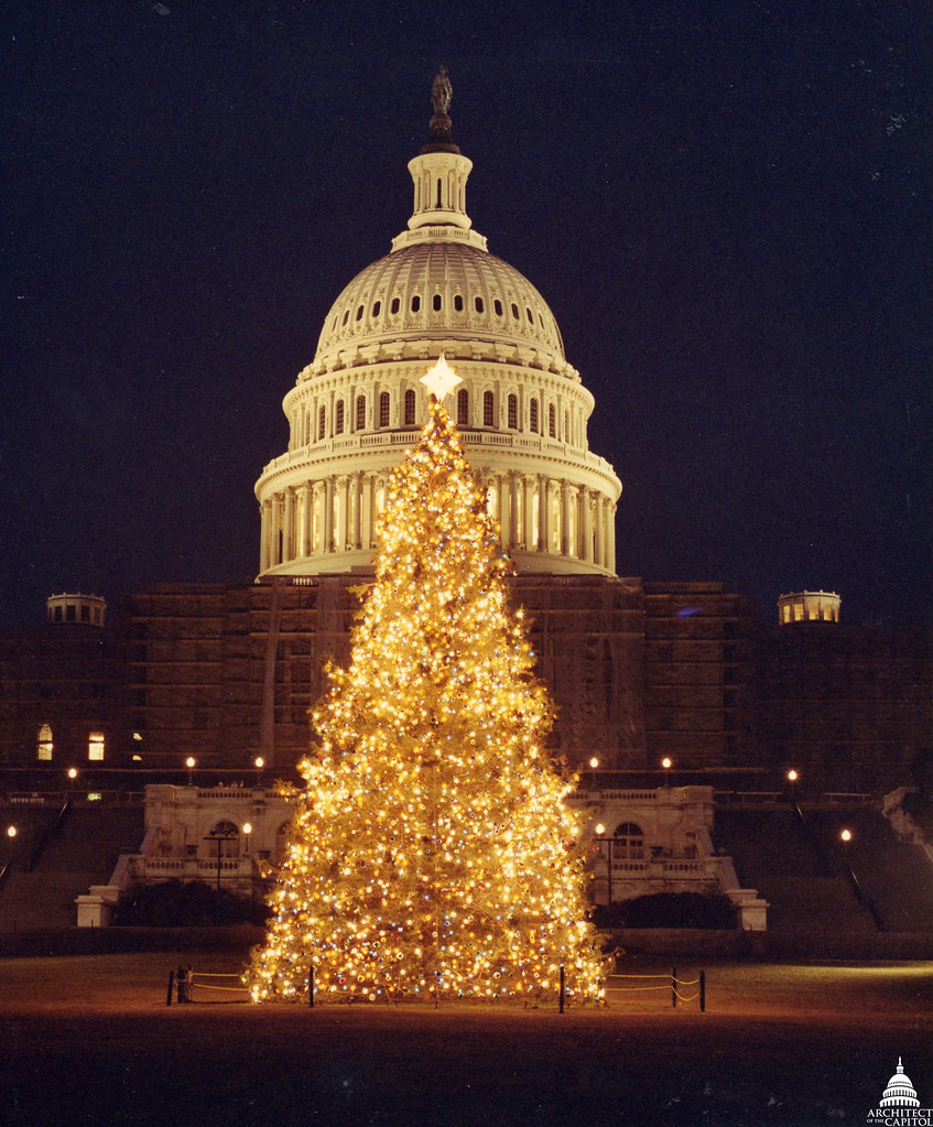 1983 U.S. Capitol Christmas Tree The 1983 tree was a 52 fo… Flickr