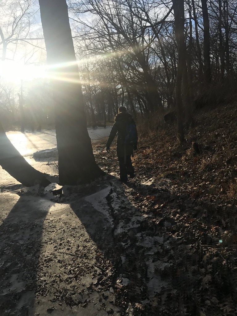 ASP Monday 1/30/17 Big Oak Woods Flickr