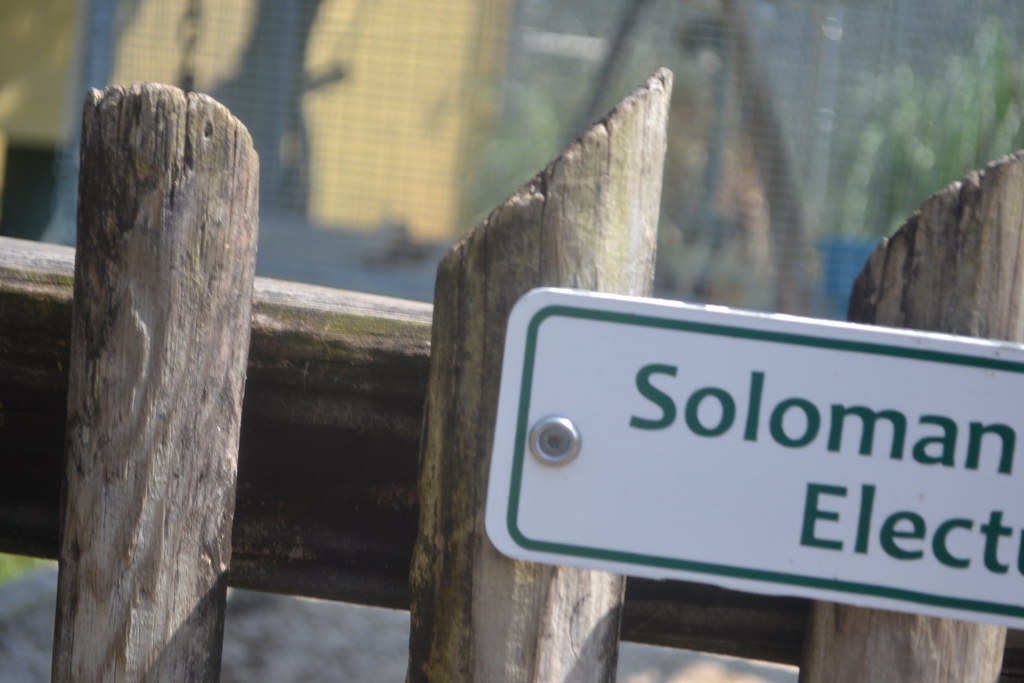 Zoo Labor Day 2013 Mostly by Kaitlyn April Weeks Flickr