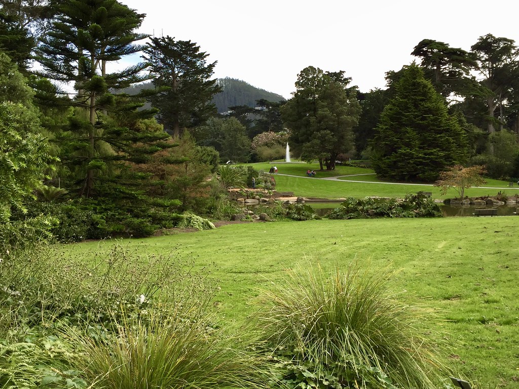 Golden Gate Park Botanical Garden, San Francisco. Nov 2016… Flickr