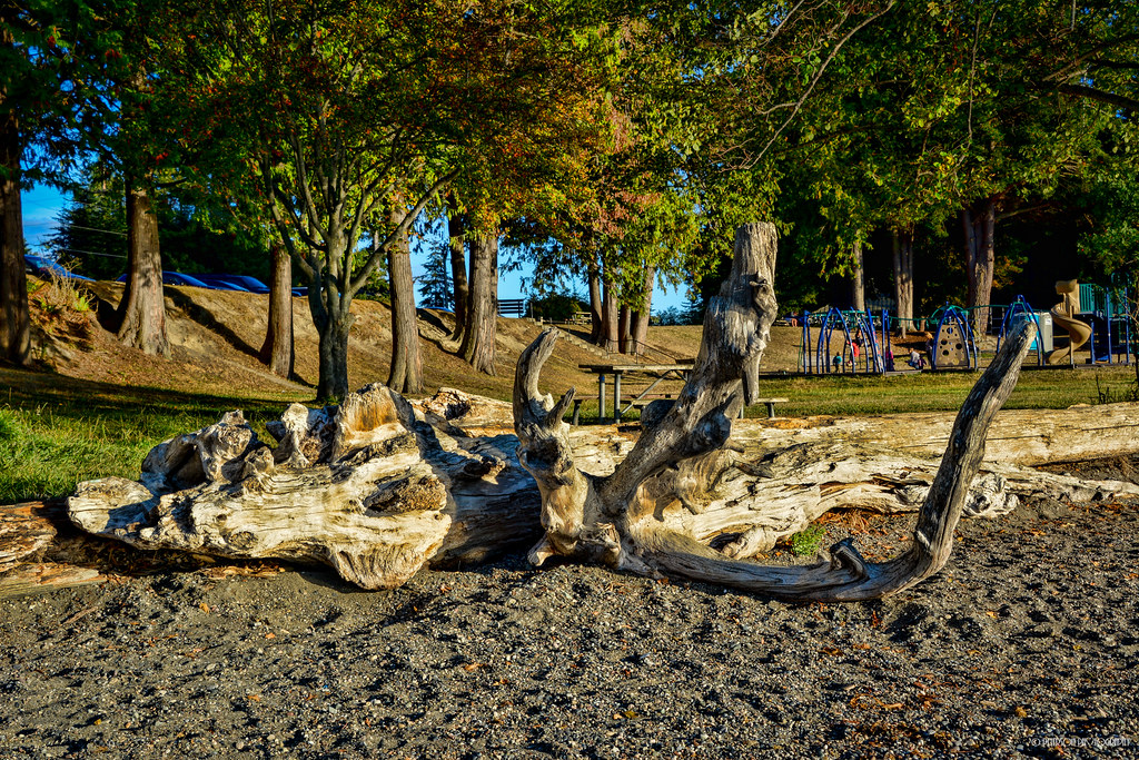 Sunset Beach, Washington Park Anacortes, WASHINGTON Washin… Flickr