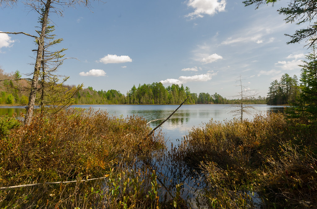 Shallow Lake Shallow Lake Wisconsin State Natural Area 51… Flickr