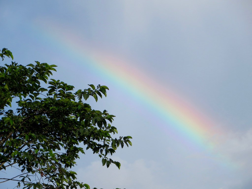 IMG_4960 rainbow after rain shower Alvin Wong Flickr