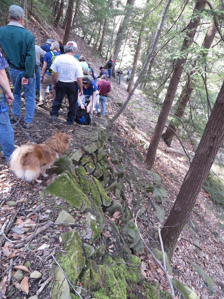 Bedford Glens 41815 056 Frank J. Comodeca Flickr