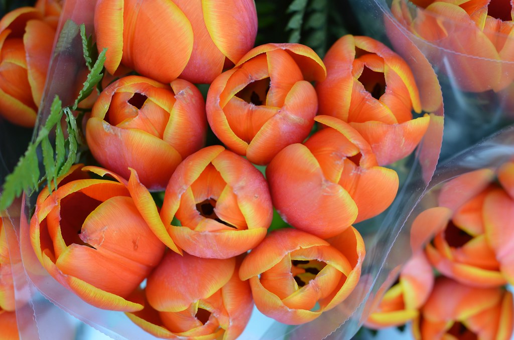 Orange Tulips For sale at the local supermarket. Joe Shlabotnik Flickr
