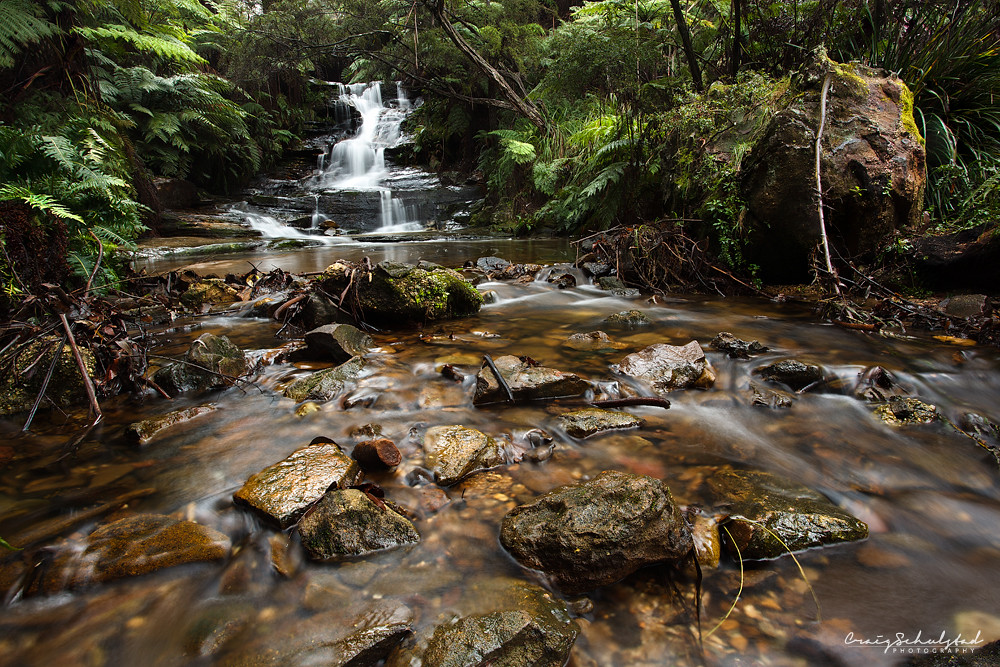 Upper Leura Cascades The wet weather around Sydney has bee… Flickr