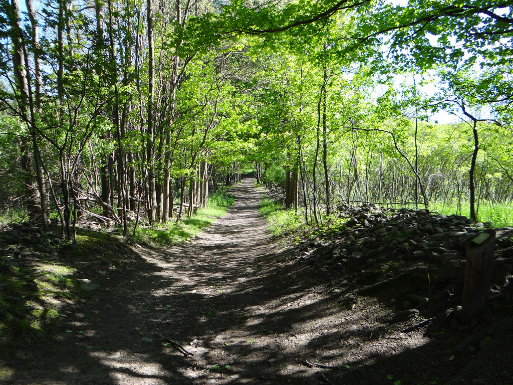 Mendon Ponds Park Birdsong 1 First shots with Sony DSCH… Flickr