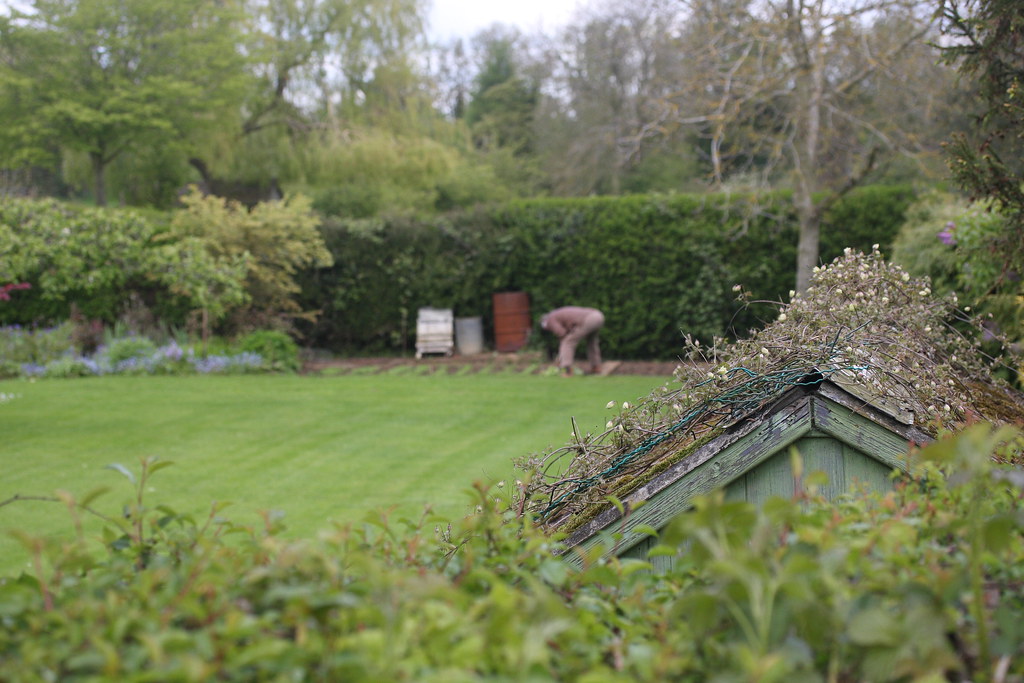 Eydon_120516_0251 "Spring Planting ", Eydon, Northampton… Flickr