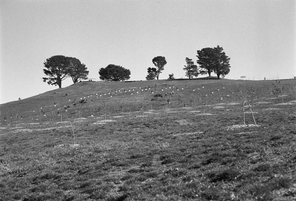 Frame 35 Looking up towards Dairy Farmers Hill, at the Nat… Flickr