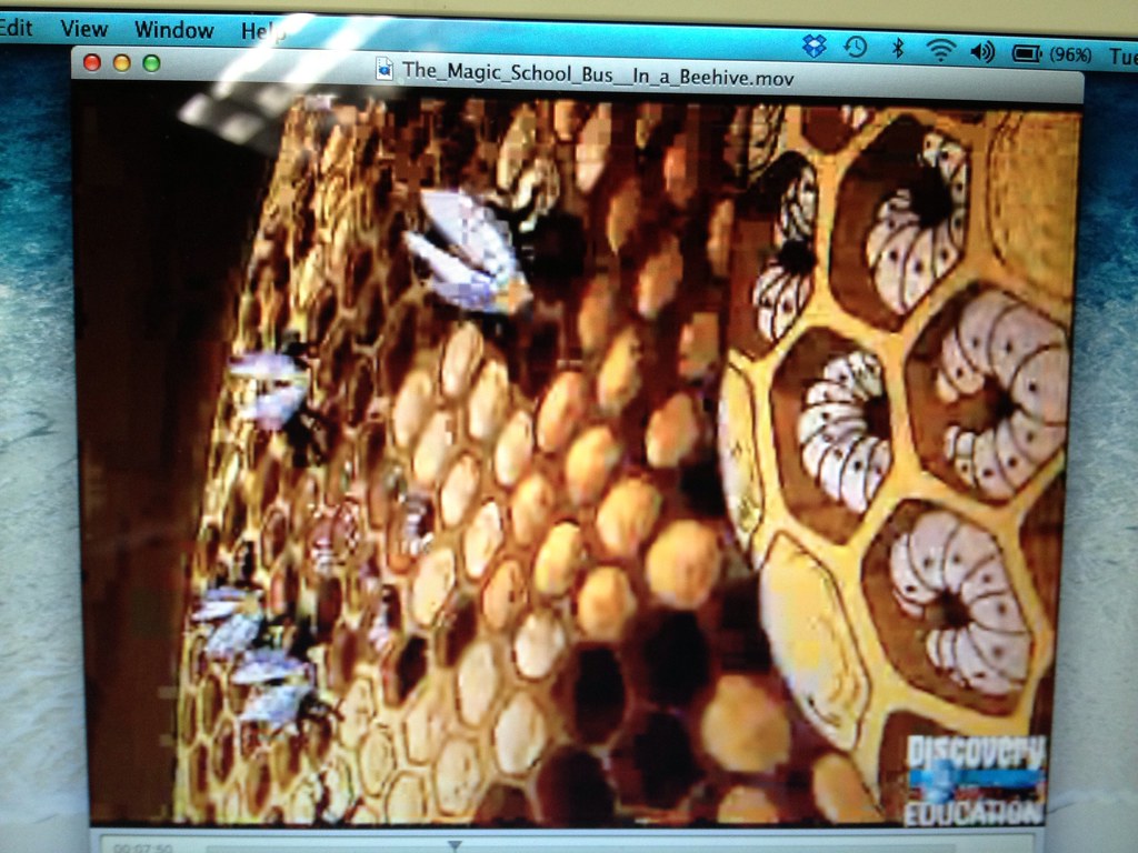 Magic School Bus Beehive Laurie Sullivan Flickr