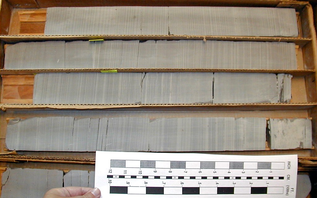 Tidalites (Francis Creek Shale, MIddle Pennsylvanian; Brai… Flickr