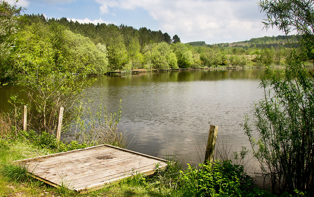 Meadowcliffe Pool, Steam Mills, Cinderford, Gloucestershir… Flickr