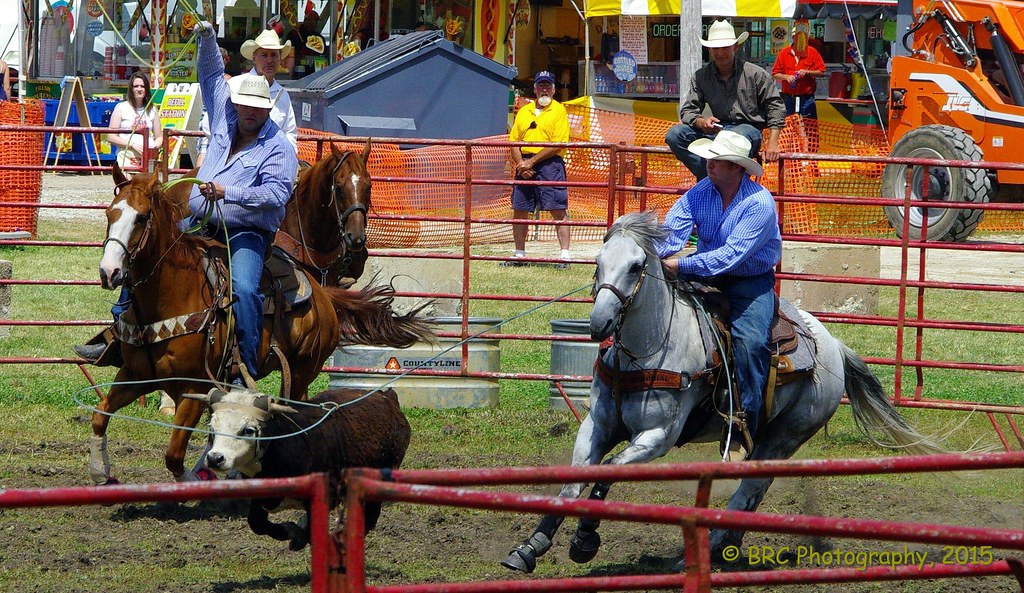 Rope That Calf Rodeo at the Du Page County Fair, Wheaton, … Flickr