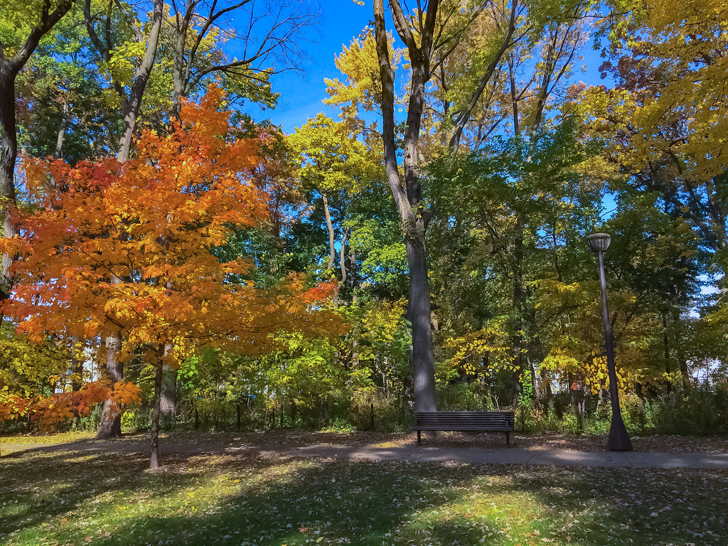 November 1 2016 Austin Gardens around midday Oak Park, Il… Flickr