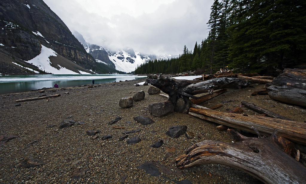 Moraine Lake Driftwood Driftwood logs at Moraine Lake. Sho… Flickr