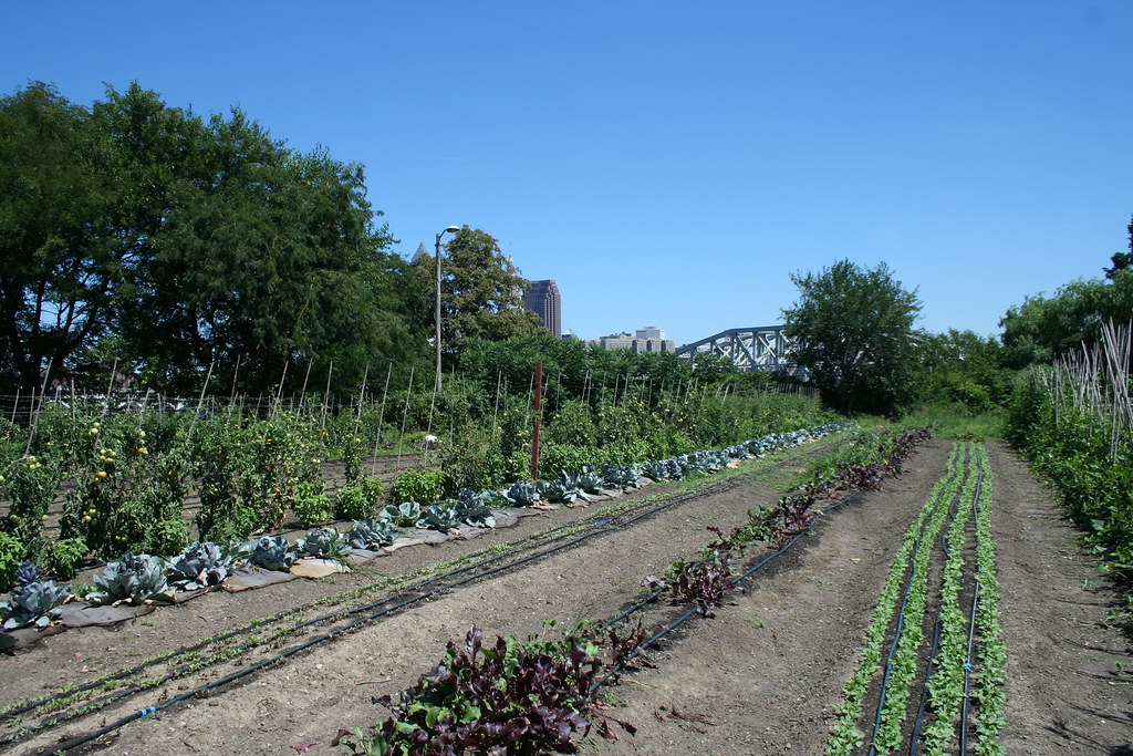 Urban Farm visits 2012 121 The Ohio City Farm is one of th… Flickr