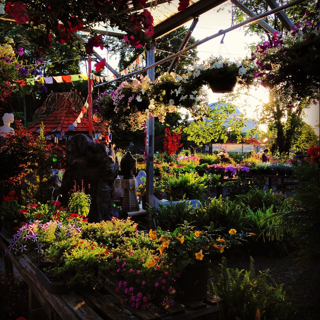 pablo's garden center Rockville, MD. Xuan Che Flickr