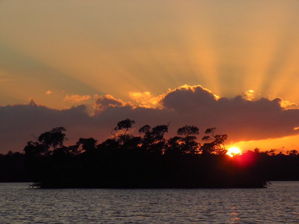 Florida New Years Flickr