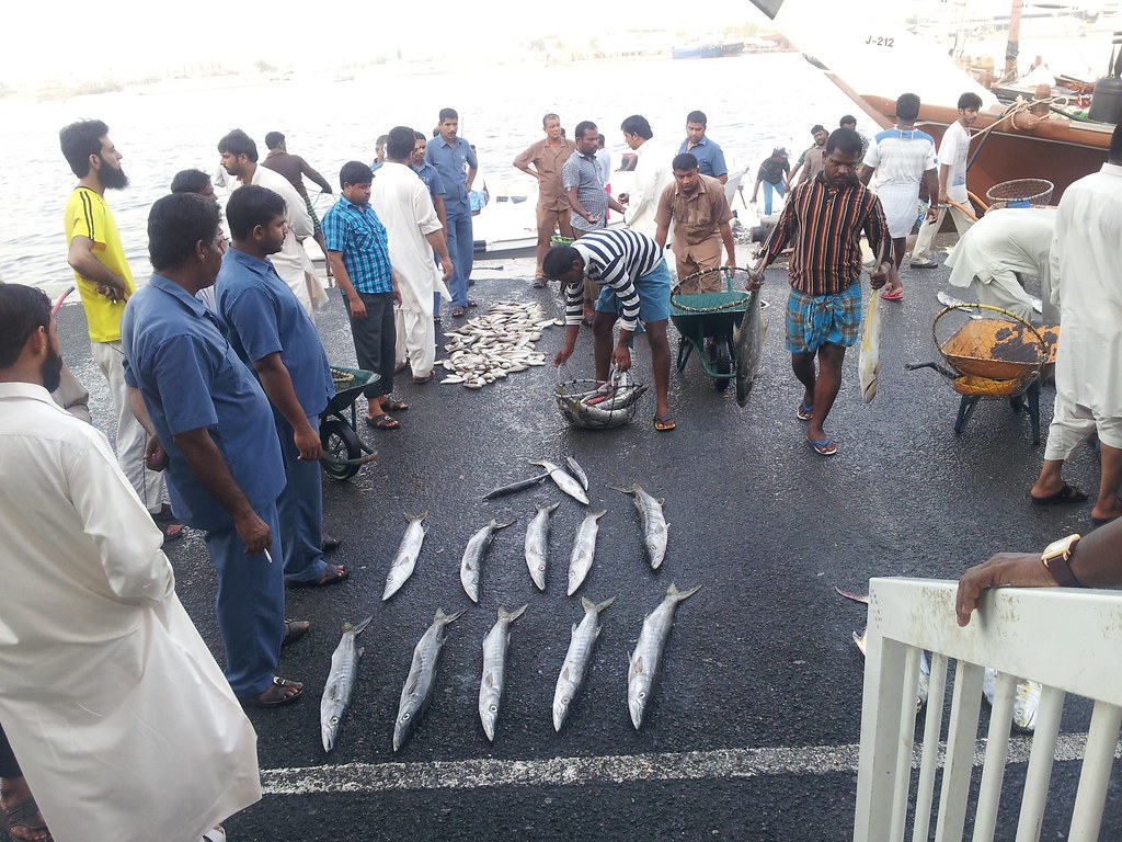 Ajman Fish Market..U.A.E. abdulla kalathi Flickr