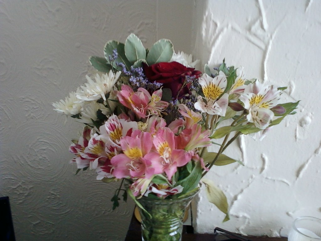 SP_A1719 Jackies Flowers Ian Speight Flickr